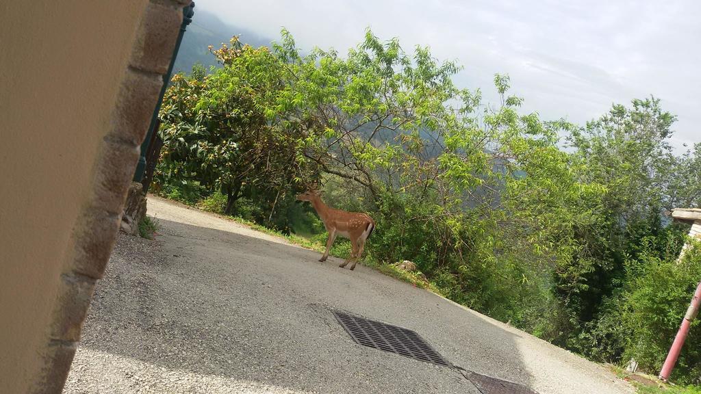 Valtopina Bed & Breakfast Casa Lisetta المظهر الخارجي الصورة