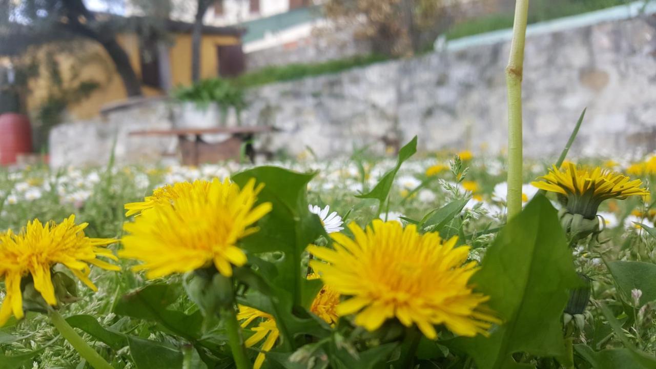 Valtopina Bed & Breakfast Casa Lisetta المظهر الخارجي الصورة