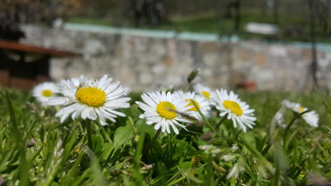 Valtopina Bed & Breakfast Casa Lisetta المظهر الخارجي الصورة