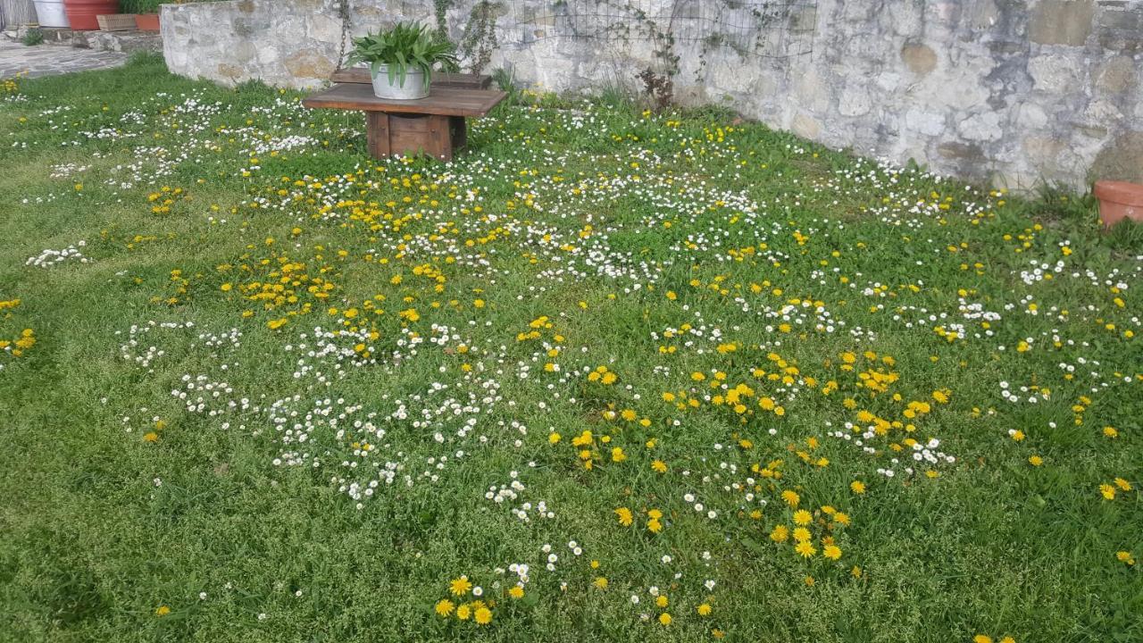 Valtopina Bed & Breakfast Casa Lisetta المظهر الخارجي الصورة