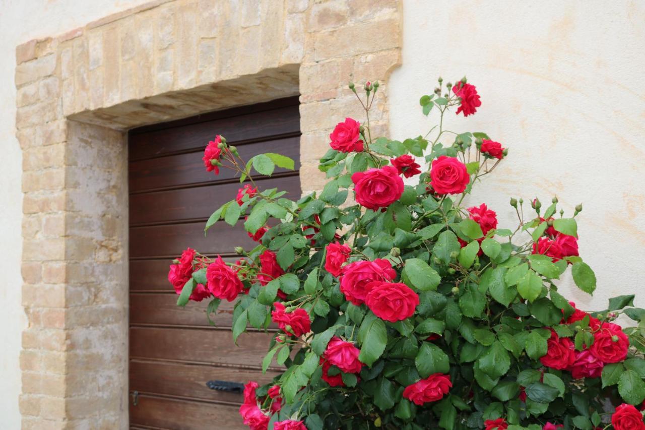 Valtopina Bed & Breakfast Casa Lisetta المظهر الخارجي الصورة