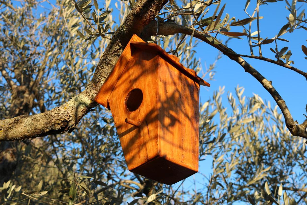 Valtopina Bed & Breakfast Casa Lisetta المظهر الخارجي الصورة